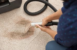 carpet cleaners near me
